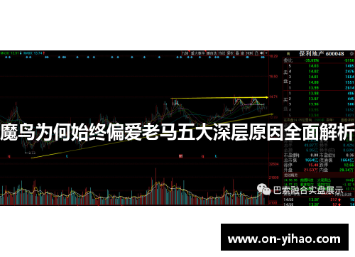 魔鸟为何始终偏爱老马五大深层原因全面解析 魔鸟为何始终偏爱老马五大深层原因全面解析